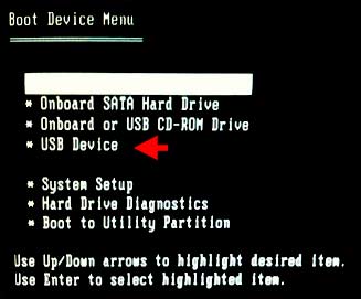 Select USB device in boot device menu