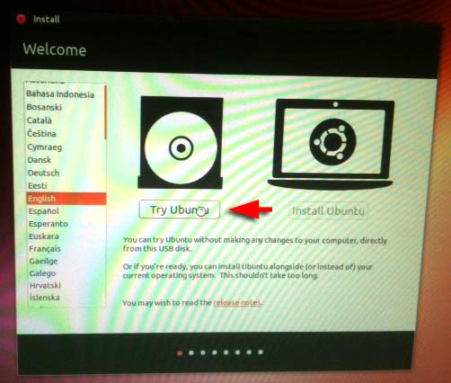 Click 'Try Ubuntu'
